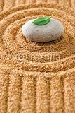 IMAGE OF Wallmonkeys Peel and Stick Wall Decals - Zen Garden - 72