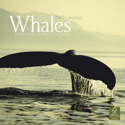Whales Square 2010 Calendar