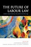 The Future of Labour Law: Liber Amicorum Bob Hepple QC