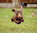 Dogs in the air