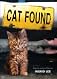Dustbin cat