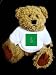 Teddy Bear with liechtenstein t-shirt