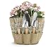 Gardening Tools in a Khaki & Pink Nylon Garden Tool Tote Gift Set