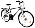 LANDER Herren ATB 26" Zoll (=66cm) 21 Gang Federung Nabendynamo StVZO-Ausstattung silber-grau
