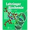 spielend durch's Bio-Studium (Zellbiologie - Genetik)