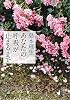 あなたの呼吸が止まるまで (新潮文庫)
