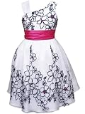 Rare Editions Girls 7-16 Organza Floral Border Soutach Dress