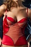 Jezebel Zip It Up Bustier (30148)