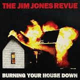 Burning Your House Down [VINYL]