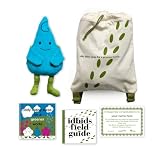 Idbids Waverly Eco-friendly Starter Kit [Amazon Frustration-Free Packaging]