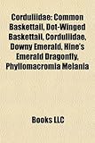 Corduliidae: Common Baskettail, Dot-Winged Baskettail, Corduliidae, Downy Emerald, Hine's Emerald Dragonfly, Phyllomacromia Melania-