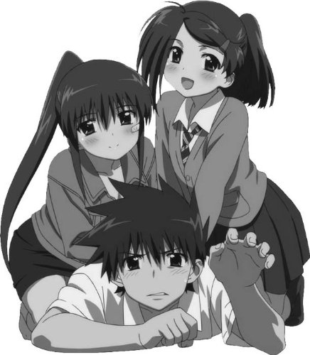 DVD付き初回限定版 「kiss×sis」 5巻