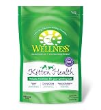 cat health problems 51qPUdA37nL. SL160 Cat Health Problems