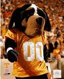 Tennessee Volunteers Smokey Mascot 8x10 Photo