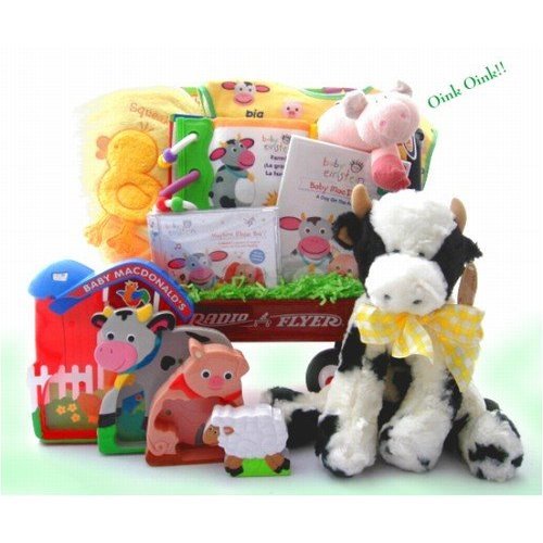 Baby Einstein Day On The Farm Gift Basket