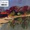 Tindersticks Picture 4