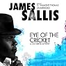 Eye of the Cricket: A Lew Griffin Mystery