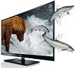 Toshiba 42WL863G 107 cm (42 Zoll) 3D LED-Backlight Fernseher, Energieeffizienzklasse B (Full-HD, 800Hz AMR, DVB-T/-C/-S/-S2, CI+) schwarz