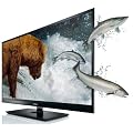Toshiba 46WL863G 117 cm (46 Zoll) 3D LED-Backlight Fernseher, Energieeffizienzklasse B (Full-HD, 800Hz AMR, DVB-T/-C/-S/-S2, CI+) schwarz