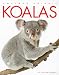 Search : Koalas (Amazing Animals)