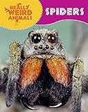 Spiders