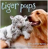 Tiger Pups
