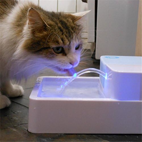 Nature SPA UV Pet Fountain Drinking Water LED Nighttime