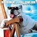 Retirement Is a Full-time Job: And You're the Boss!