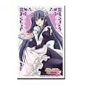 ブシロードスリーブコレクションHG (ハイグレード) Vol.160 バカとテストと召喚獣にっ! 『霧島 翔子』