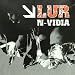 N-Vidia