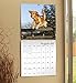 Golden Retrievers Wall Calendar (2017)