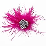 Reflectionz Little Girls Fuchsia Feather Zebra Print Rosette Clippie