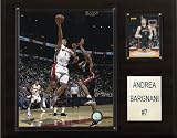 NBA Andrea Bargnani Toronto Raptors Player Plaque