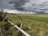 IMAGE OF Farm Irrigation Sprinklers Next to a Hay Field in Western Clorado, Colorado Premium Photographic Poster Print by Bill Hatcher, 30x40