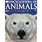 Animals in fact and fiction