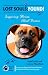 Lost Souls: Found! Inspiring Stories About Boxers Lost Souls: Found! Inspiring Stories About Boxers
