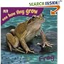 Frog (See How They Grow)