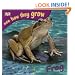 Frog (See How They Grow)