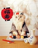 Sushi Cat I 16 x 20 Animals Art Print Posters