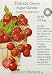 Cherry Tomato Sugar Sweetie Certified Organic Seeds 60 Seeds