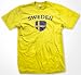 Sweden Flag Shield International Soccer Mens T-shirt, Swedish National Pride Mens Shirt