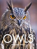 Owls