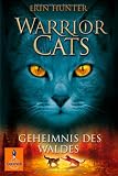Warrior Cats Staffel 1/03. Geheimnis des Waldes