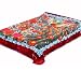 Solaron King Peacock Korean Mink Blanket - Red Border