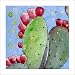 Original Succulent Watercolor Painting Prickly Pear Cactus Artwork, Matted to 8