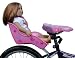 Ride Along Dolly - Doll Bicycle Seat with Decorate Yourself Decals