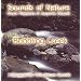 BUBBLING CREEK (Sounds of Nature Series)