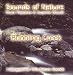 Music : BUBBLING CREEK (Sounds of Nature Series)