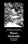 Plato's Parmenides: The Conversion of the Soul