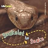 Snakelet to snake